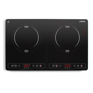 Double induction cooker