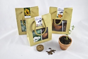 Kraft seedling pouch