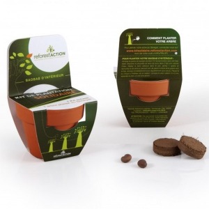 70 mm terracotta pot with seeds to grow model with pediment