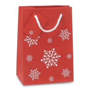 Small gift bag