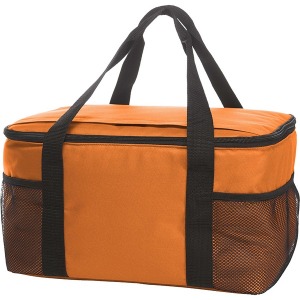 Cooler bag