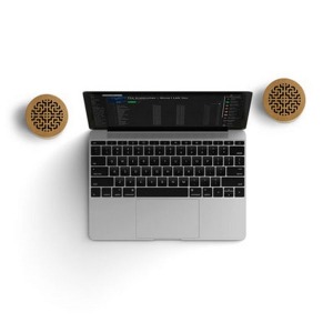 Set of 2 WOODSTOCK speakers