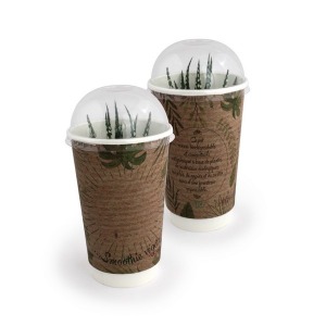 Standard Seed Smoothie