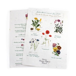 A4 Seed Mat - 120g RECTO-VERSO