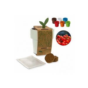 Hot-but-cool coffee cup with cherry tomato seeds