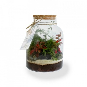 Tropical comfort terrarium