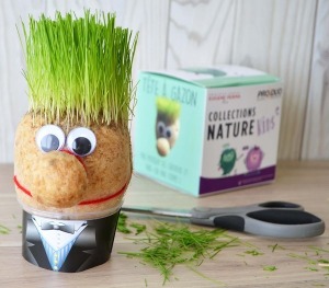 Grass head - four-colour cube