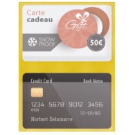 Case for 2 credit cards