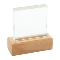 Rectofi Trophy