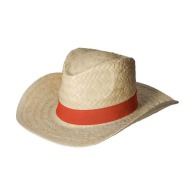 Texas? boater picture