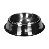 Dog bowl Dog Dog bowl Dog