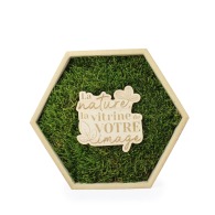 image Trophée mousse hexagonal - à partir de 10ex sur devis