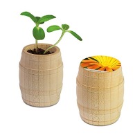 Mini wooden barrel - Souci Mini wooden barrel - Souci