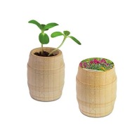 Wooden mini barrel - Mixed summer flowers