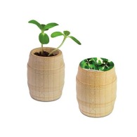 Mini wooden barrel - Bulbes de trèfle à 4 feuilles