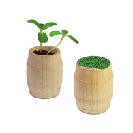 Mini wooden barrel - Cresson de jardin