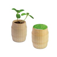 Mini wooden barrel - Herbe
