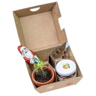 Christmas gift box - Clay pots, chocolate Father Christmas, Christmas tree moulds and a glass of orange jam