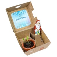 Christmas gift box - Father Christmas earthenware and chocolate pots