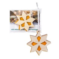 Felt and wood pendant - Star in a promotional bag