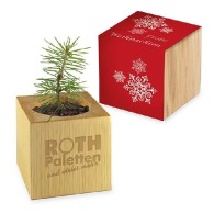 Christmas wooden desk cube pot - Standard design - Spruce - without laser engraving