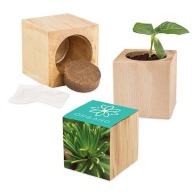 Maxi wooden Christmas cube pot - Spruce - Spruce