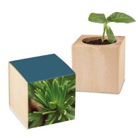 Mini Christmas wooden cube pot - Spruce - Spruce