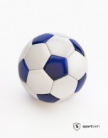 Official hand-sewn pearl soccer - WF150