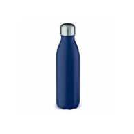 Swing 750ml insulated bottle picture