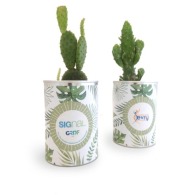 Can with a growing plant