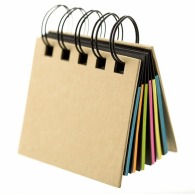 Spiral notebook containing 250 repositionable papers