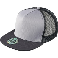 Mesh cap / Flat visor
