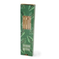 Boxed set of 6 coloured seed pencils