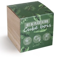 Wooden cube seeds picture