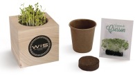 Wooden cube Seeds