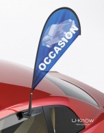 Mini flag for car picture