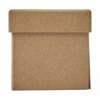 Cardboard case containing repositionable papers