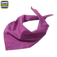 Triangle scarf picture