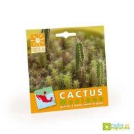 Cactus seeds in bags