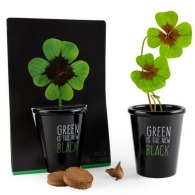 Black planting kit - 4-leaf clover