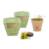 Biodegradable bamboo pot planting kit