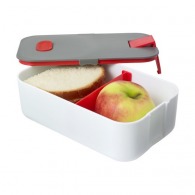 Compartmentalized lunch box