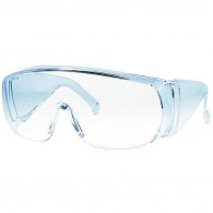 Visitor protection goggles