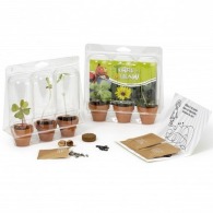 Mini greenhouse for growing 3 pots of seeds