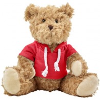 Teddy bear with hoodie picture