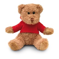 Teddy bear with t-shirt picture