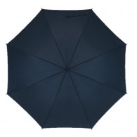 Umbrella with case