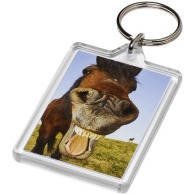Key ring with insert 63x41mm