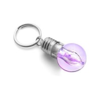 Illuminated key ring