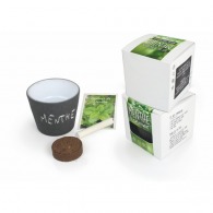 Seed Pot Cube ARDOISE - Mint